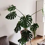 Adorable With A Stunning View Apartament