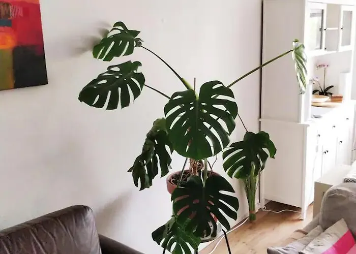 Adorable With A Stunning View Διαμέρισμα